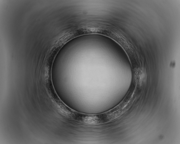 X0000101210410200806271420