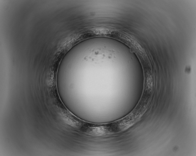 X0000101210411200806271420