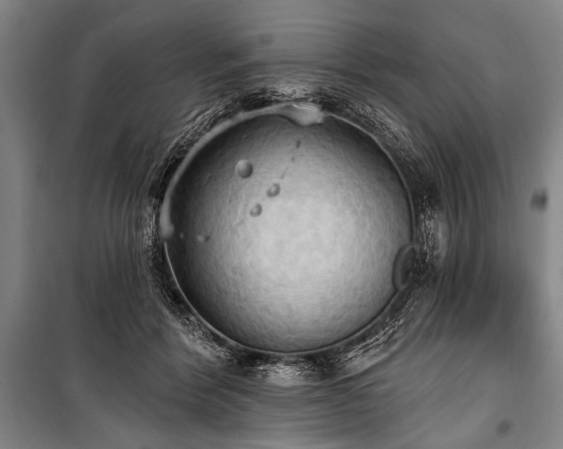 X0000101210412200806271420