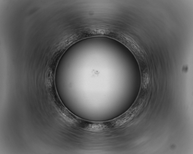 X0000101210414200806271420