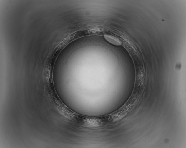 X0000101210417200806271419