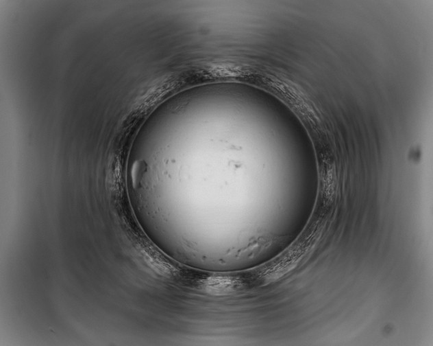 X0000101210418200806271419