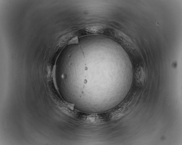 X0000101210420200806271419