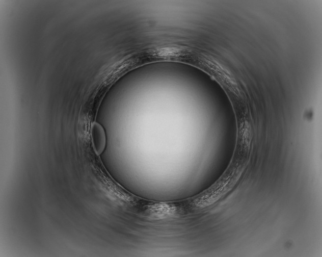 X0000101210421200806271419