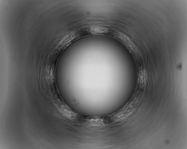 X0000101210426200806271419