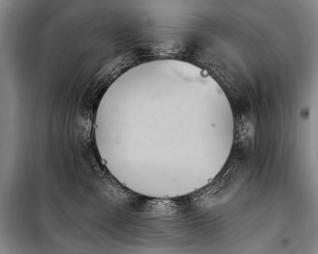 X0000101210427200806271419