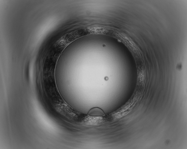 X0000101210429200806271419