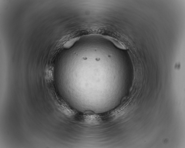 X0000101210432200806271419