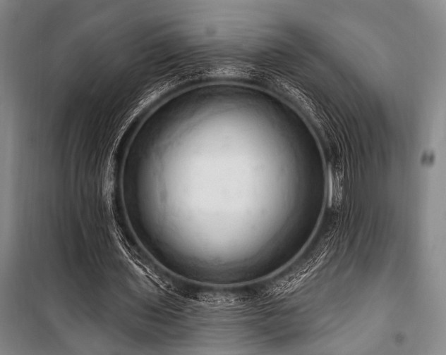 X0000101210435200806271419