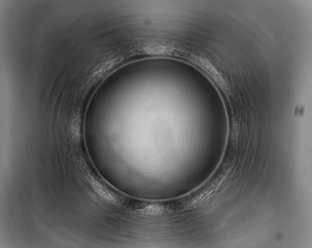 X0000101210441200806271419