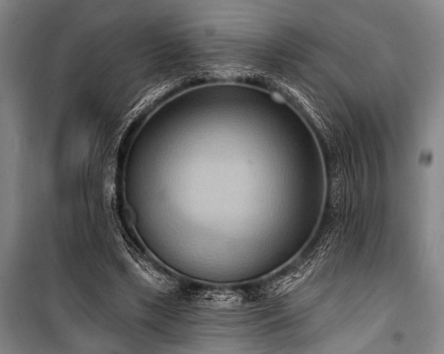 X0000101210443200806271419