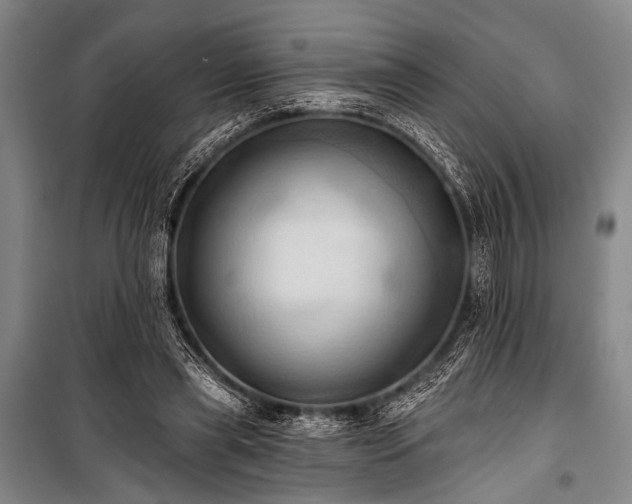 X0000101210445200806271419