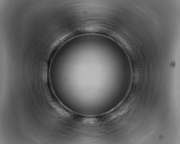 X0000101210446200806271419