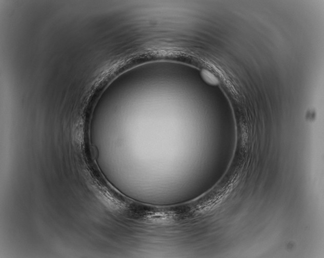 X0000101210447200806271419