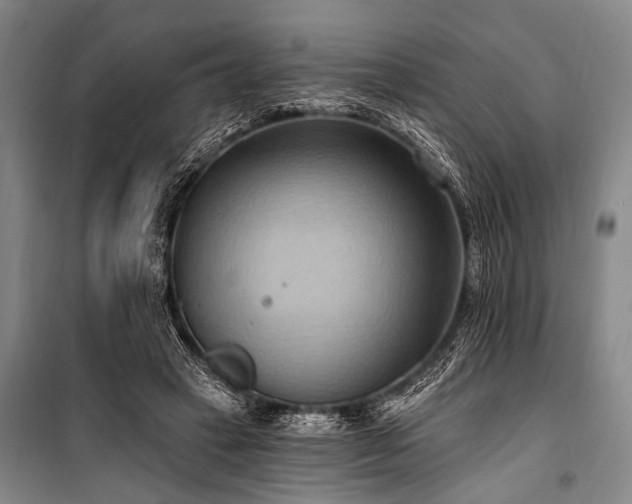 X0000101210449200806271419