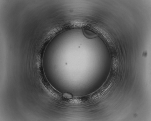 X0000101210451200806271419