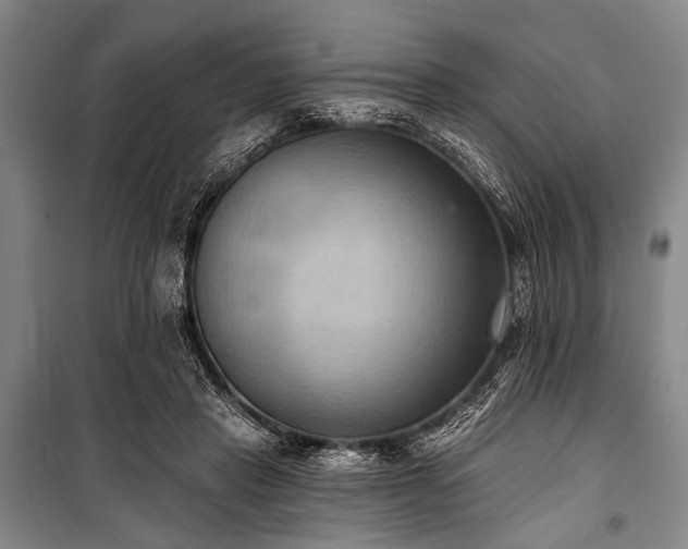 X0000101210453200806271419