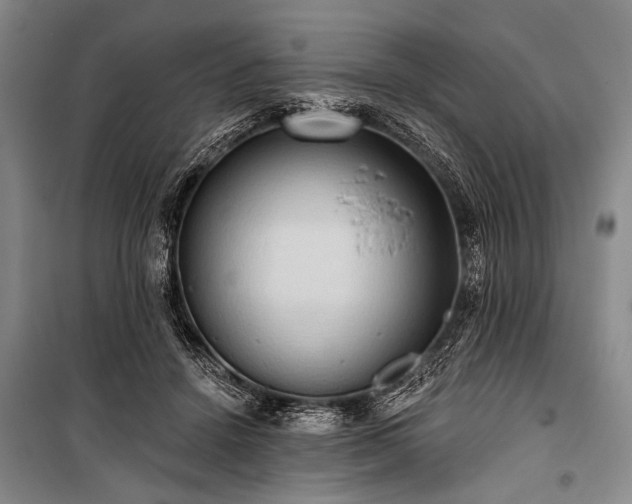 X0000101210456200806271419