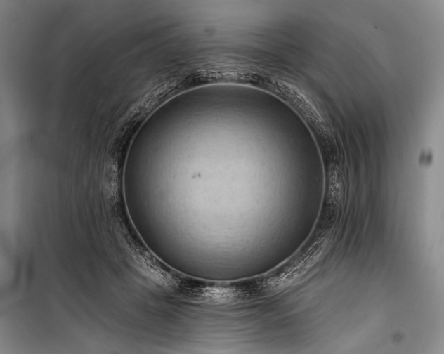 X0000101210457200806271419