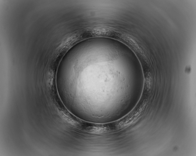 X0000101210458200806271419