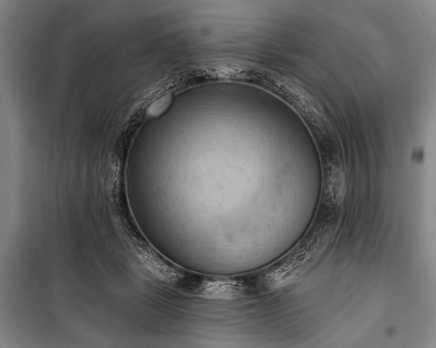 X0000101210461200806271419