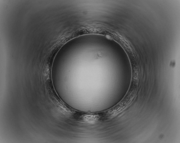 X0000101210465200806271419