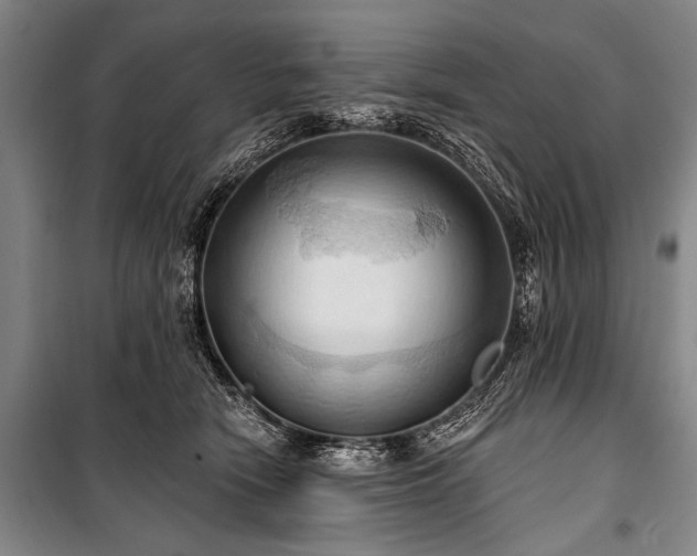 X0000101210466200806271419