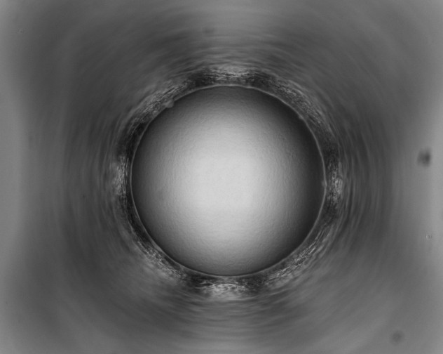 X0000101210468200806271419