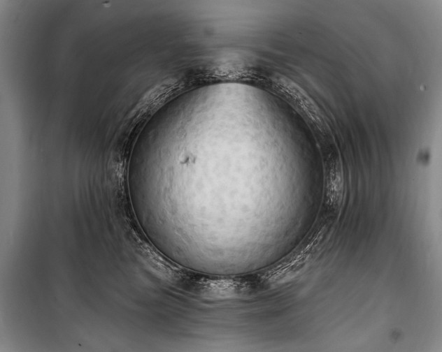 X0000101210473200806271419