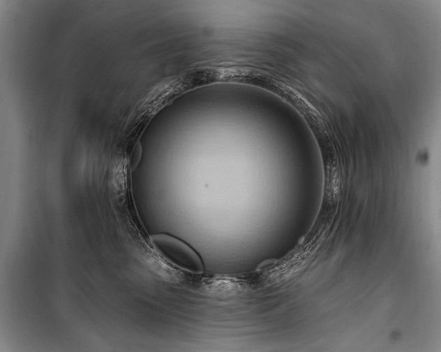 X0000101210475200806271419