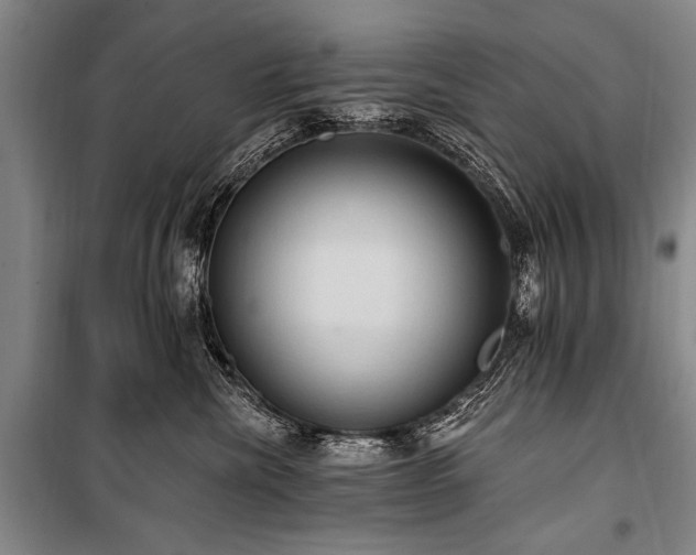 X0000101210476200806271419