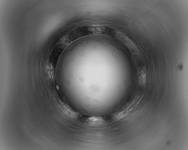 X0000101210477200806271419