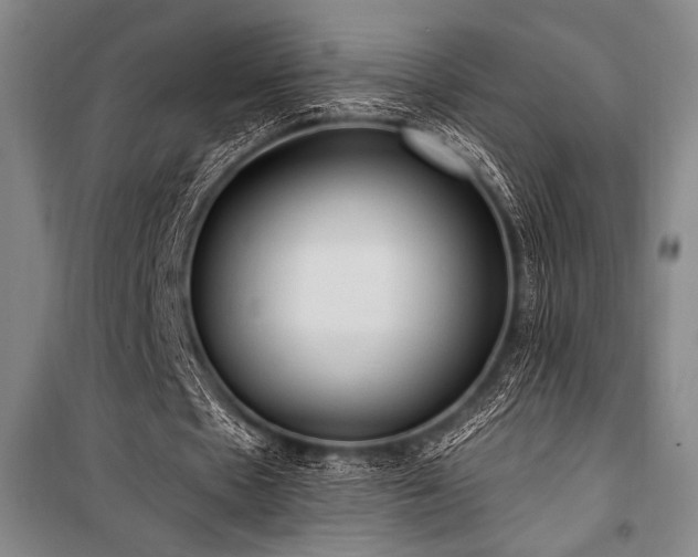 X0000101210481200806271419