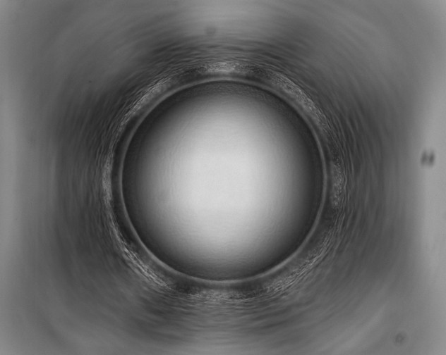 X0000101210482200806271419