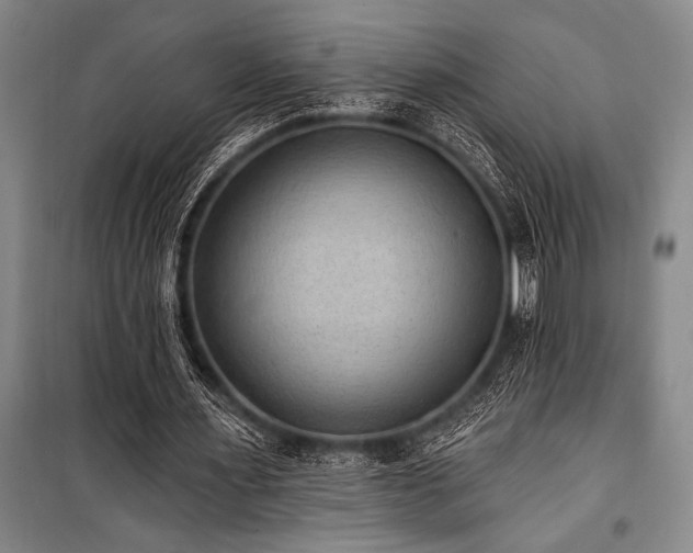 X0000101210483200806271418