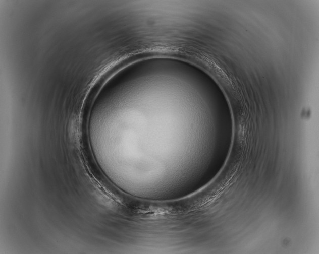 X0000101210484200806271418