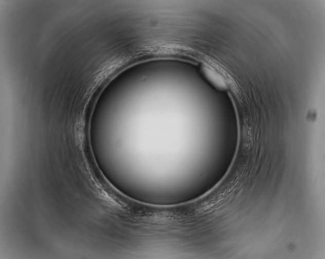 X0000101210485200806271418