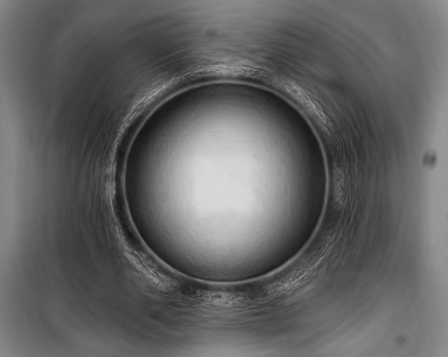 X0000101210486200806271418