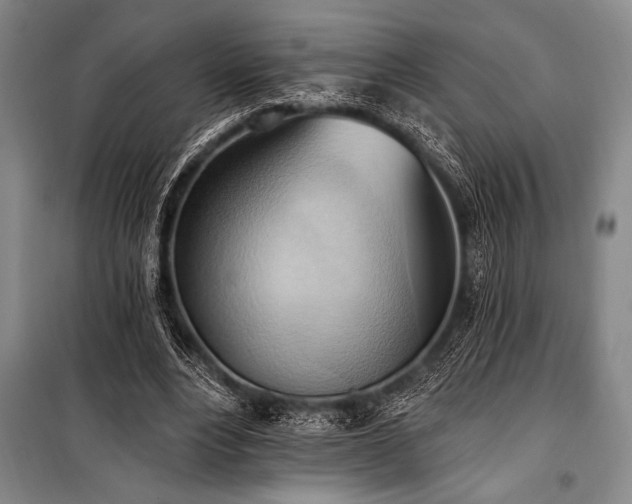 X0000101210488200806271418