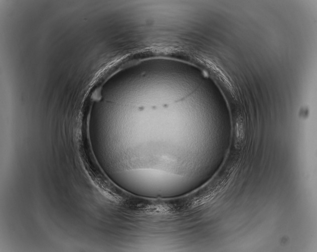 X0000101210492200806271418