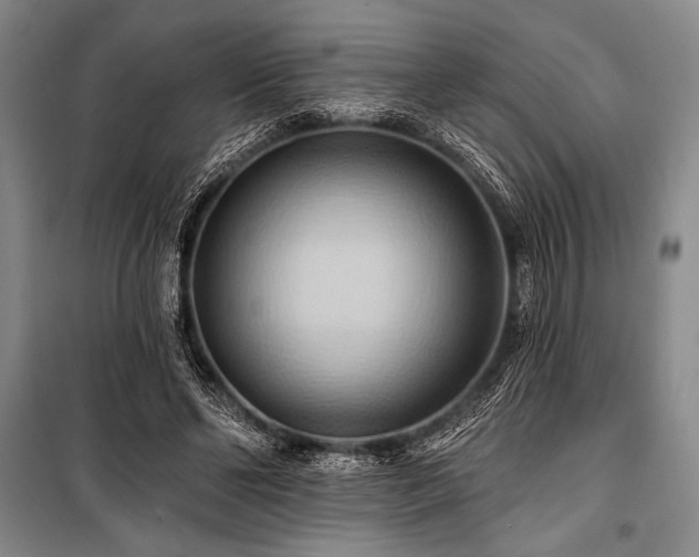 X0000101210494200806271418