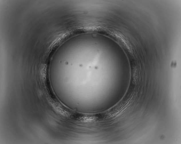 X0000101210495200806271418