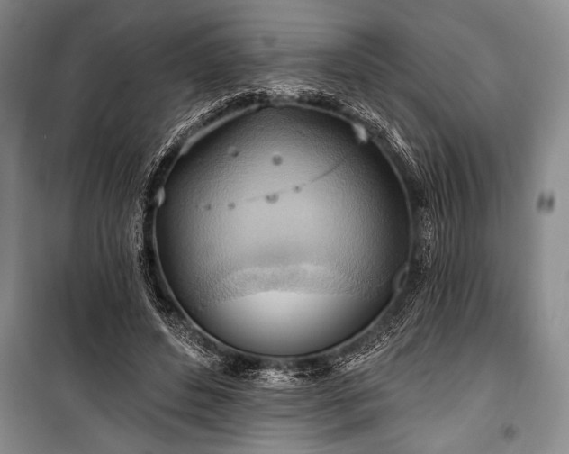 X0000101210496200806271418