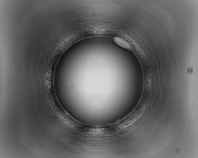 X0000101210497200806271418