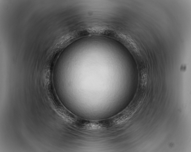 X0000101210498200806271418