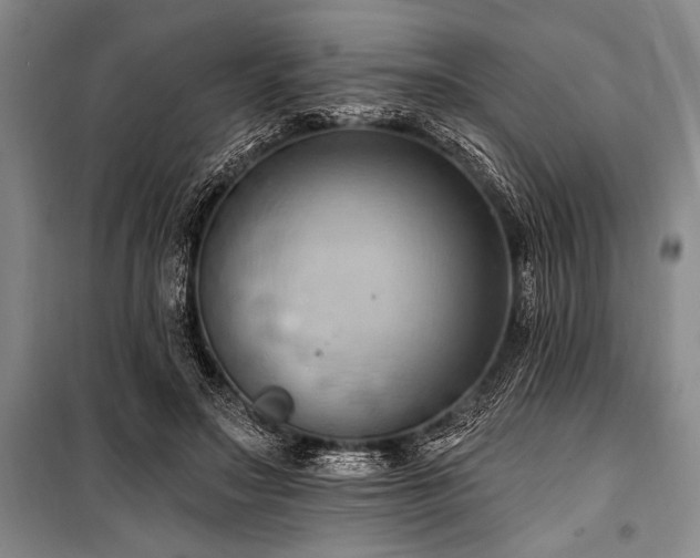 X0000101210499200806271418