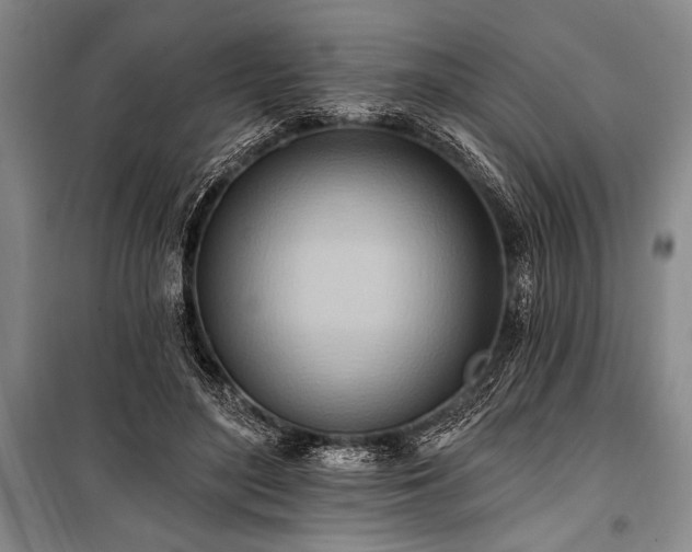 X0000101210500200806271418