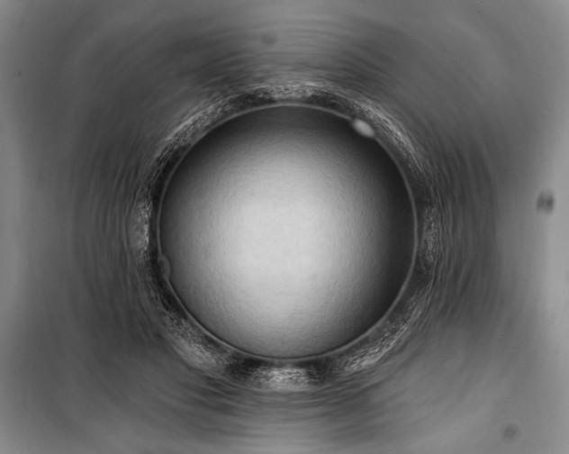 X0000101210501200806271418