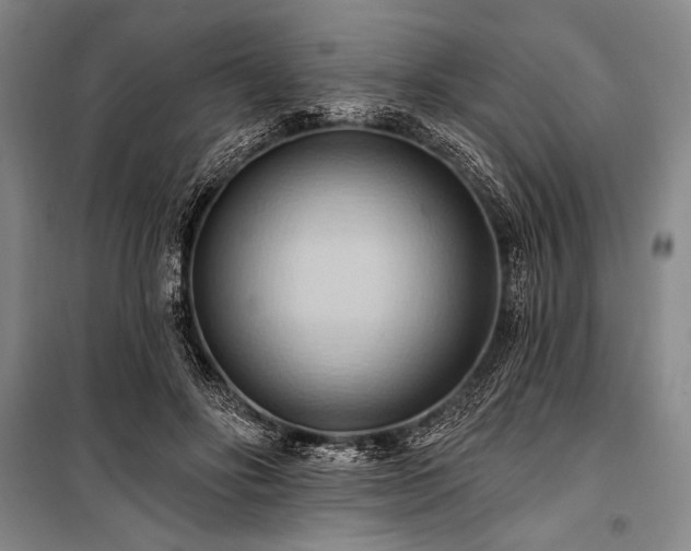 X0000101210502200806271418