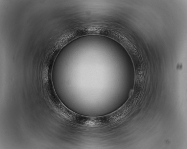 X0000101210504200806271418